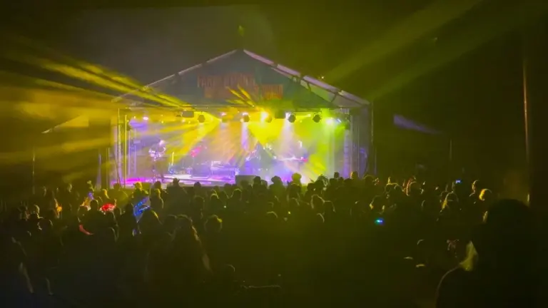 An audience watching a band play on a stage at night with yellow and pink lights coming out from behind the bnad