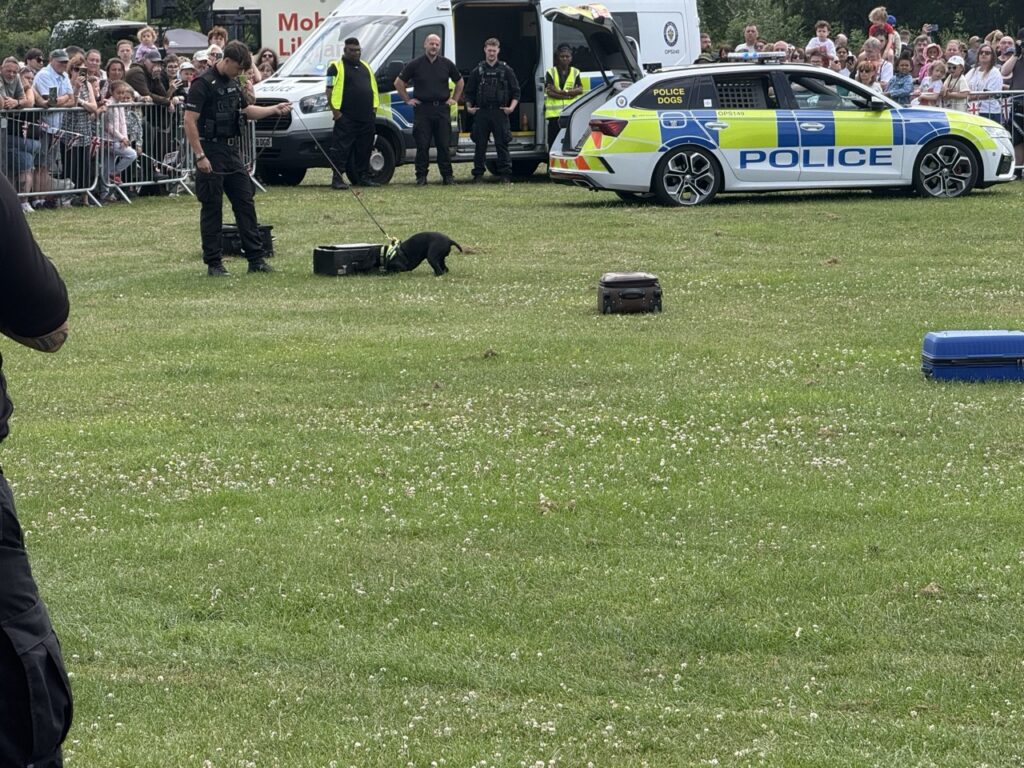 Police car and a handler with a dog on the grass during a display